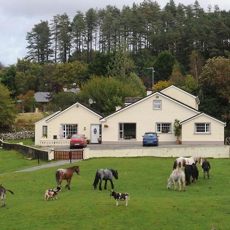 Muckross Riding Stables Villa Killarney Exterior foto