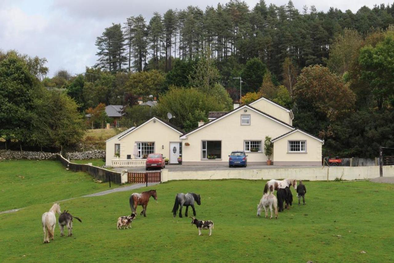 Muckross Riding Stables Villa Killarney Exterior foto