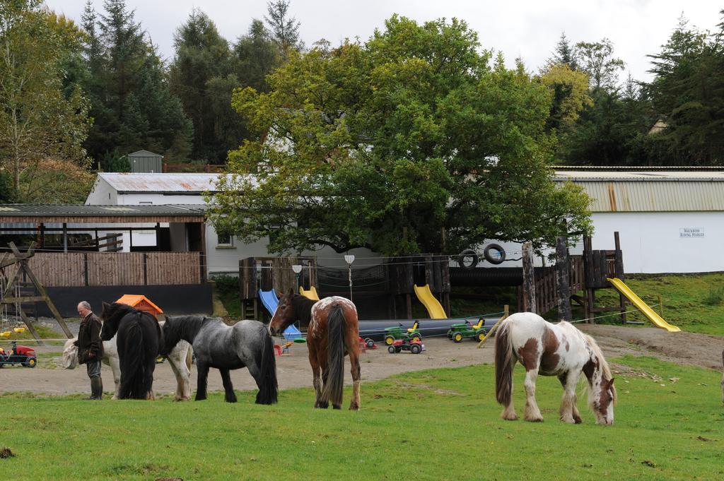 Muckross Riding Stables Villa Killarney Exterior foto