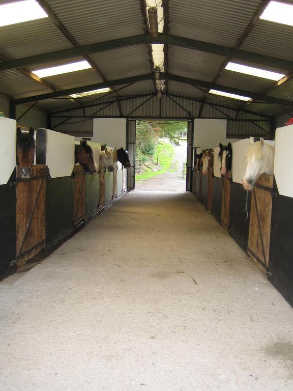 Muckross Riding Stables Villa Killarney Exterior foto