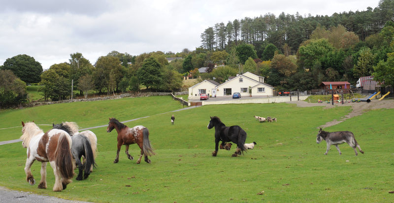 Muckross Riding Stables Villa Killarney Exterior foto