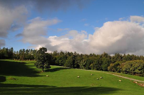 Muckross Riding Stables Villa Killarney Exterior foto