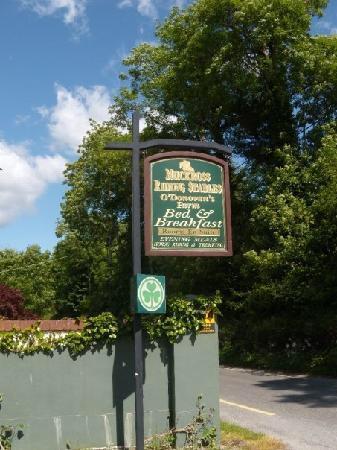 Muckross Riding Stables Villa Killarney Exterior foto